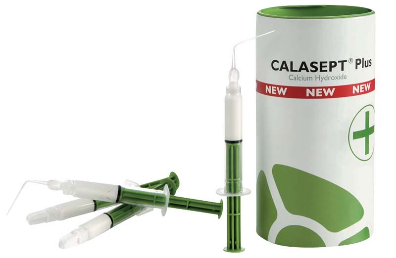 Calasept гідроксид кальцію (Каласепт), 1.5гр